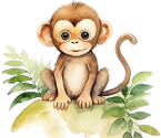 monkey.png